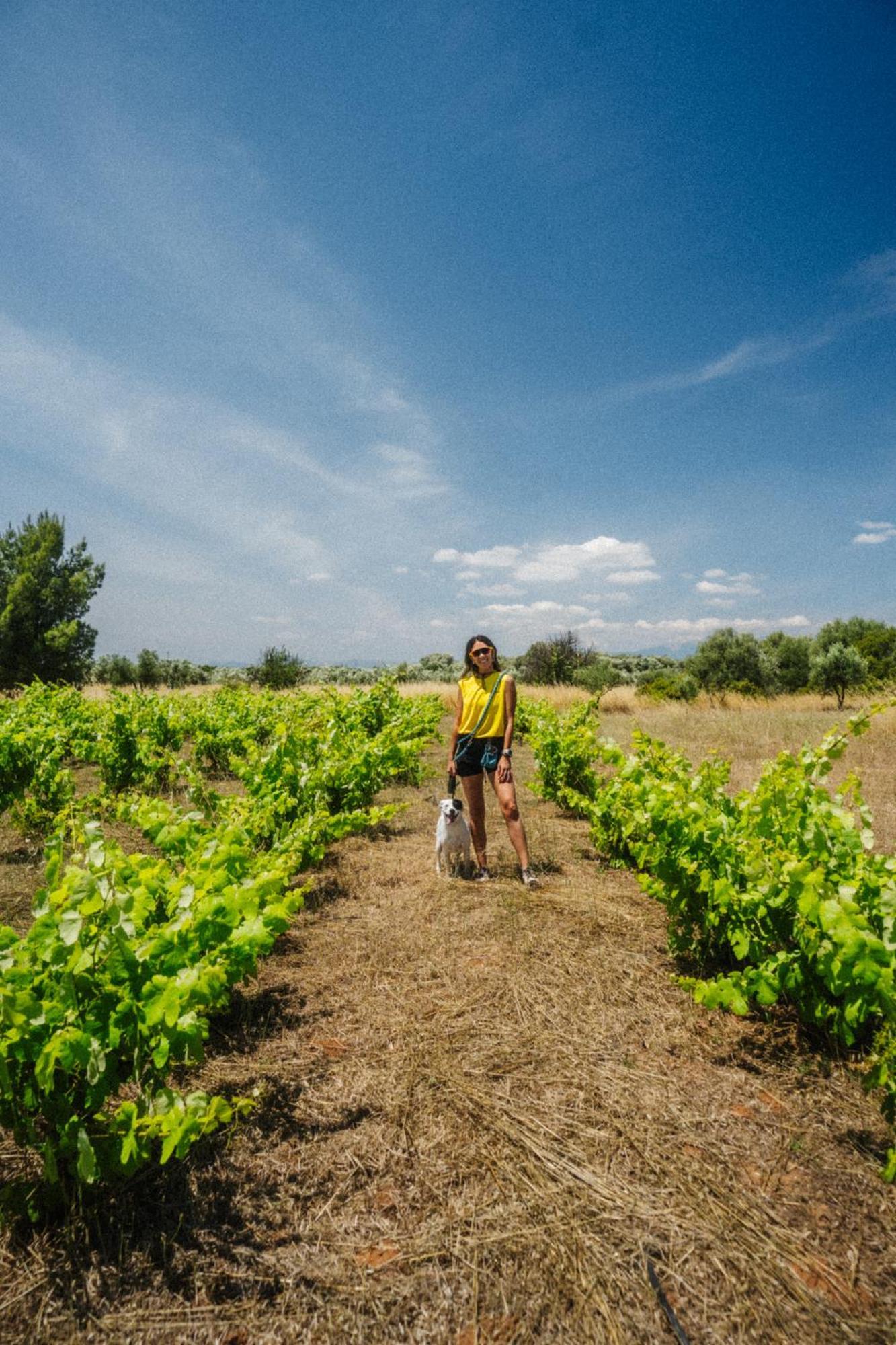 Eumelia Organic Agrotourism Farm Hotel Gouvai ภายนอก รูปภาพ