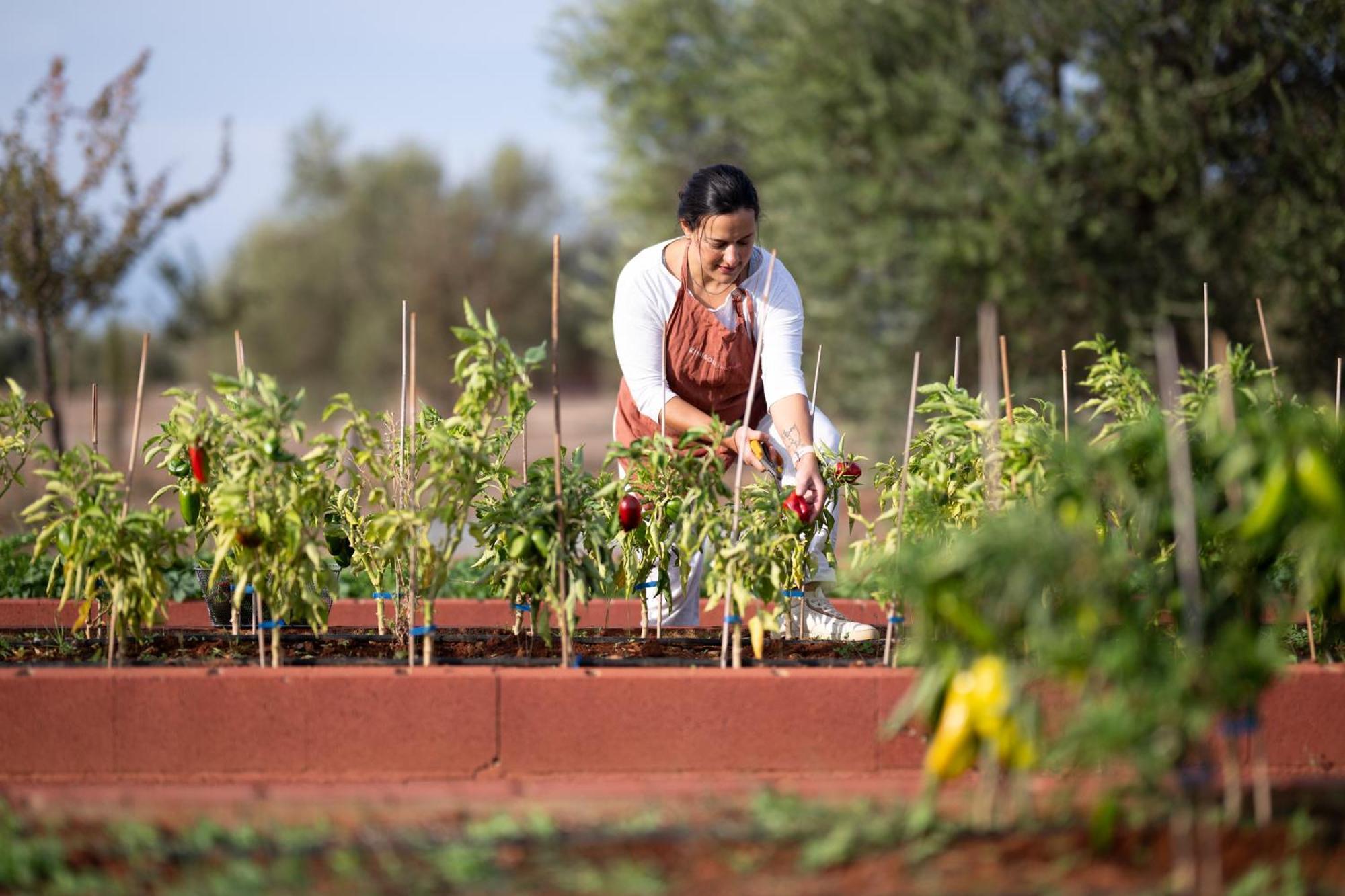Eumelia Organic Agrotourism Farm Hotel Gouvai ภายนอก รูปภาพ